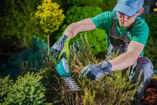 landscaping services Coram